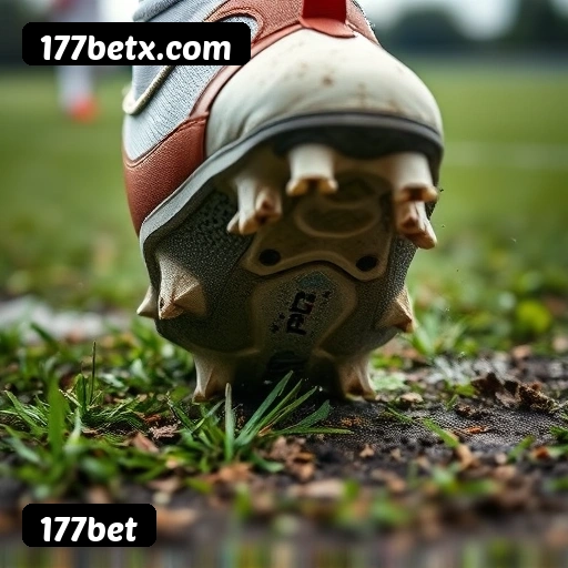 177bet APP mobile iOS Android - 187 mil downloads São Paulo Rio BH